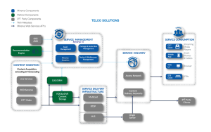 Minerva telco solution diagram